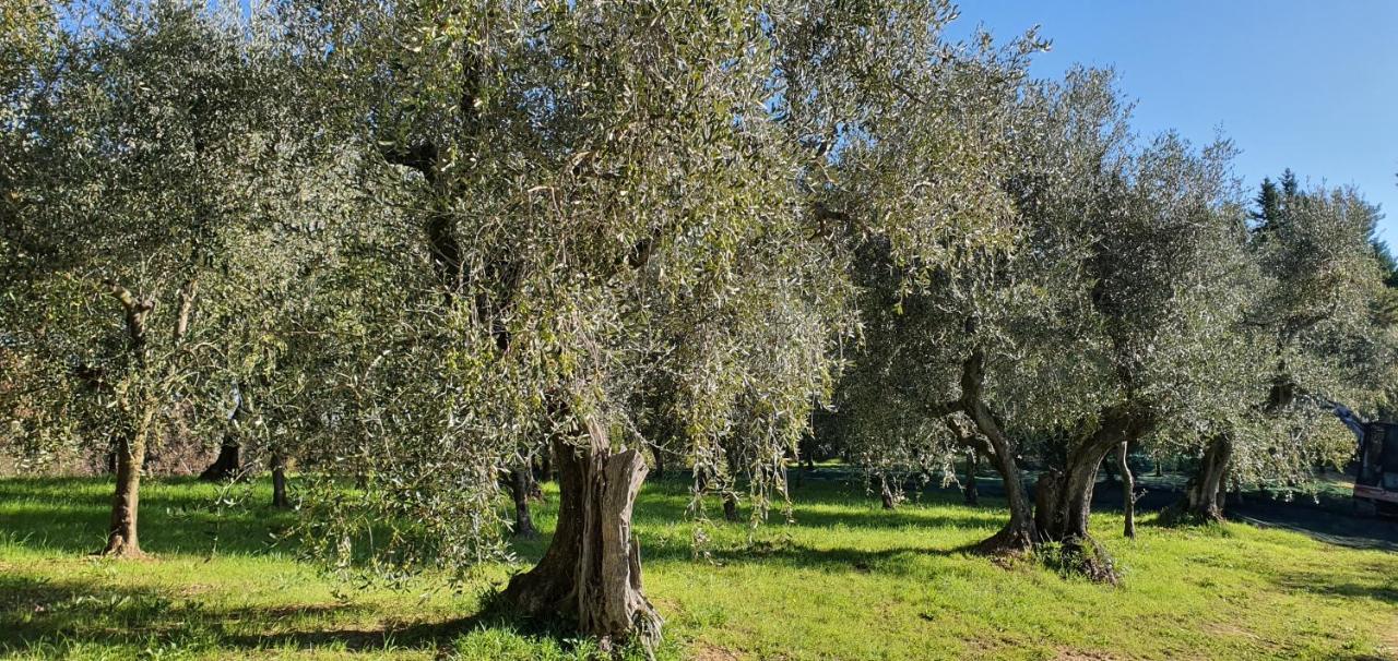 Hotel Commuoversi Ssa - Azienda Agricola Usigliano Exterior foto